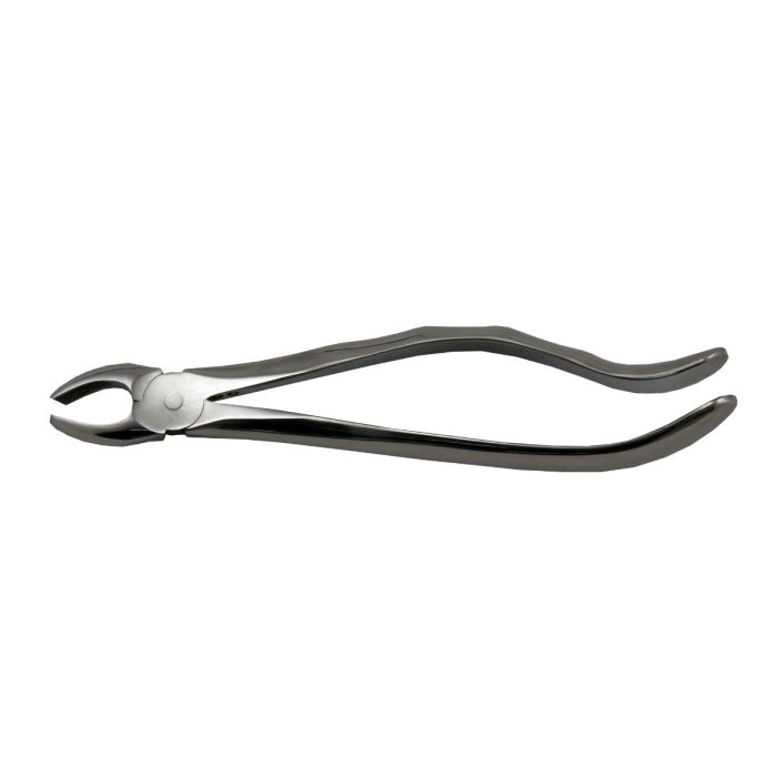 Cleste 17 - Molar superior dreapta