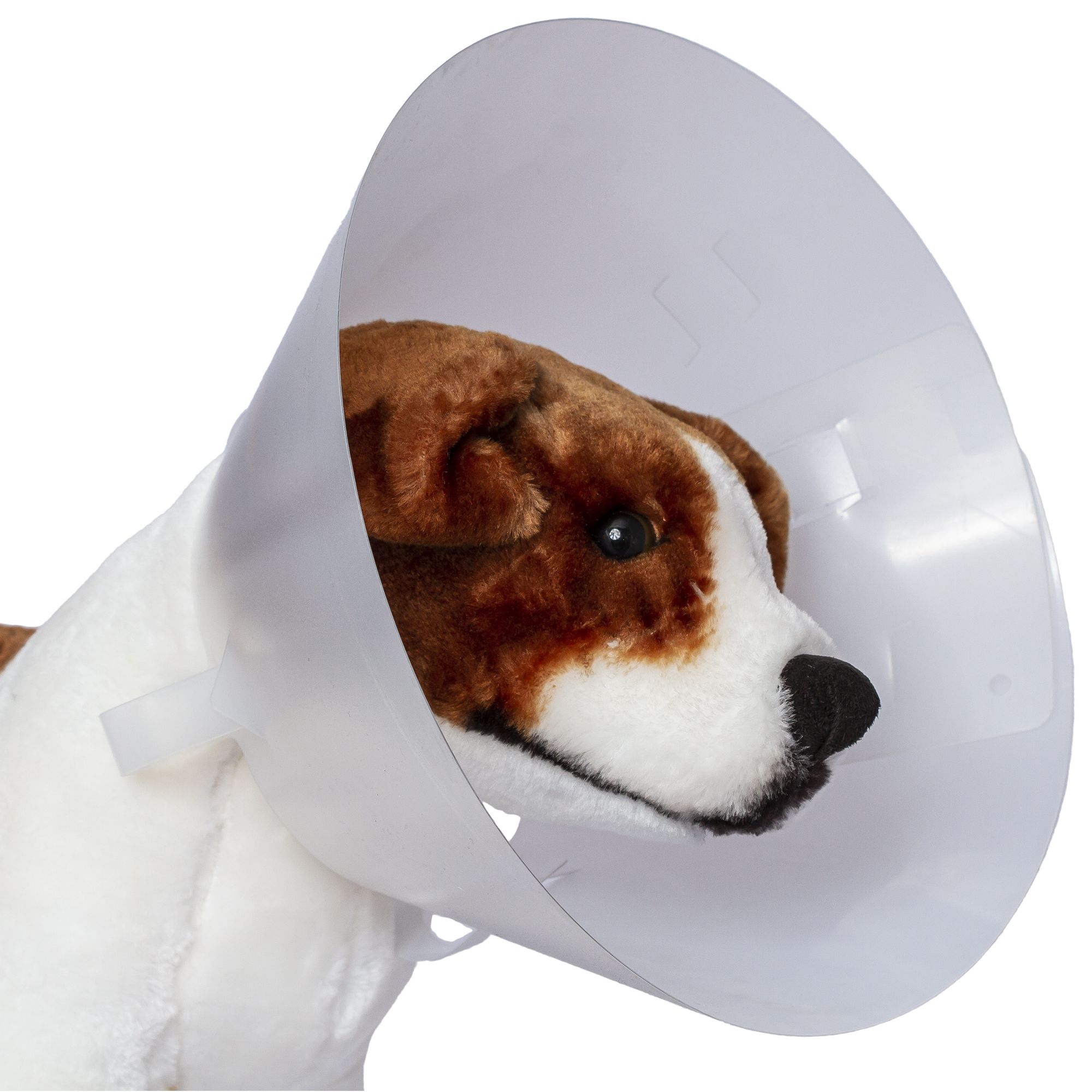 Protectie animale
