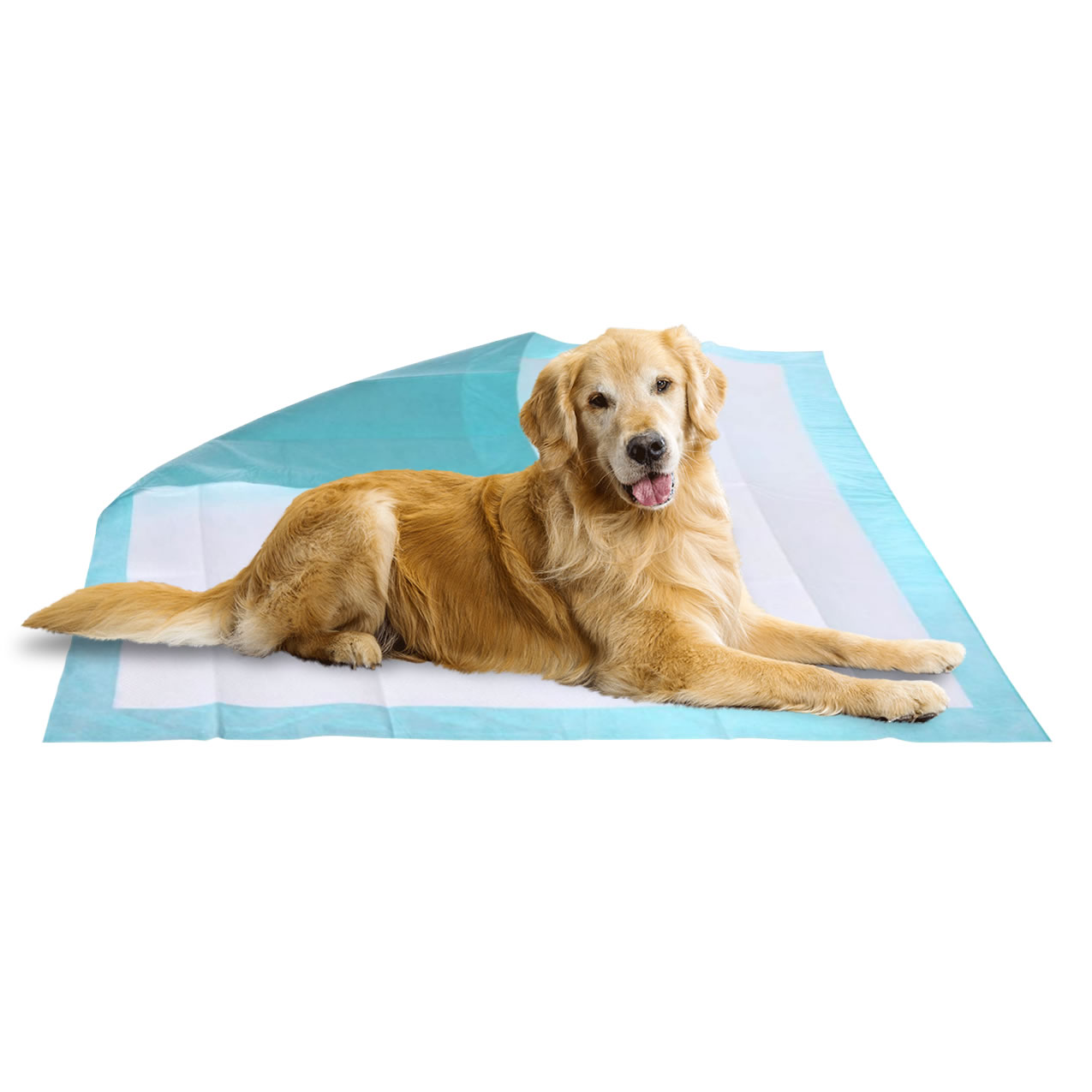 Cosmetica uz veterinar