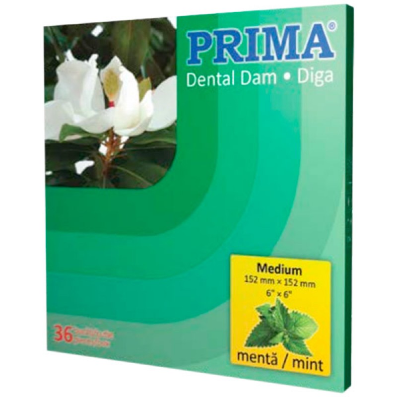 Diga dentara