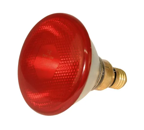 Bec infrarosu 100W pentru pui si pasari - incalzire animale